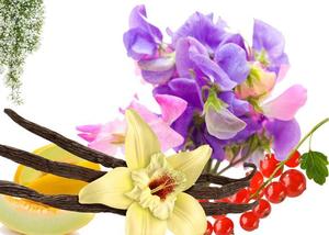 Fragrance Oils: Sweet Pea and Vanilla Fragrance Oil