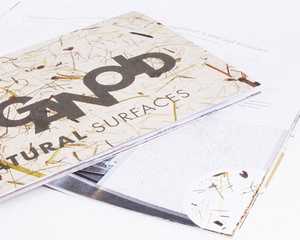 Organoid Brochure