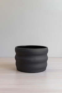 West Coast Short Poppy