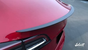 Accessories: Carbon Fibre OEM Spoiler - Model 3 - AMD