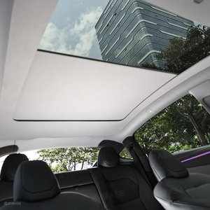 Accessories: Electric Sun Visor - Tesla's - AMD