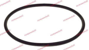 Fuel Oil System: RACEWORKS REPLACEMENT O-RING FOR RACEWORKS FUEL FILTERS | RWM-007