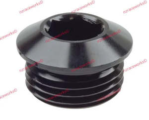 RACEWORKS AN in HEX O-RING PLUGS