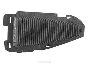 Battery Accessories: RYCO HYBRID BATTERY AIR FILTER | RBA107