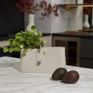 Ned Collections: Haan Planter - Bone