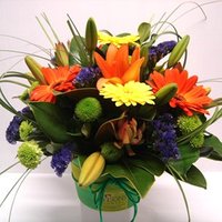 Products: Bright Delight