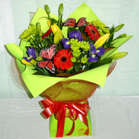 Products: Bold and Bright