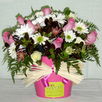 Products: Coconut Ice Delight