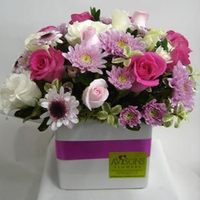 Products: In The Pink