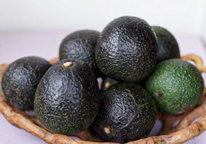Autumn Set Avos – 10 Pack