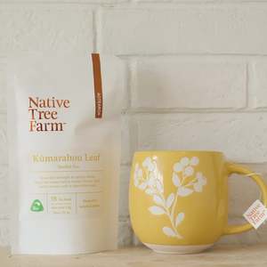 All: Pure Kūmarahou Tea Bags - Native Tree Farm