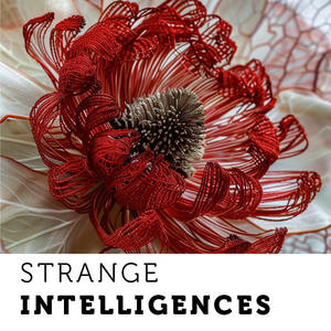 Products: Strange Intelligences Digest 01 AwhiWorld