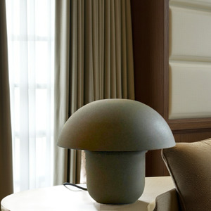 Frontpage: Lochnagar Dome