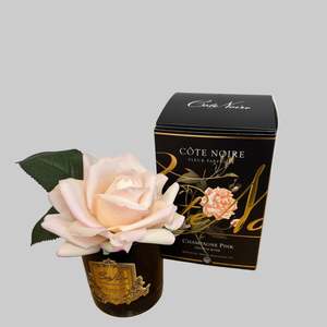 Frontpage: Cote Noire - single rose - Champagne Pink in black glass - GMRB15