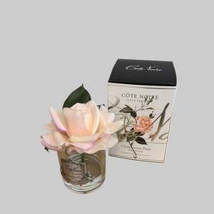 Frontpage: Cote Noire - Single Rose- Champagne Pink -GMR15