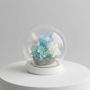 White & Blue Round Dome with lights