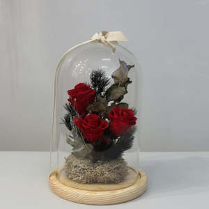 Dried Flower Bouquet: Red Rose & Berry - Flower Glass Dome XL wt Seedlights
