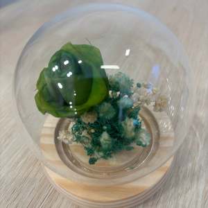 Dried Flower Bouquet: Miniature Flower Dome - Eternal Rose