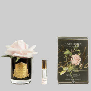 Cote Noire: COTE NOIRE PERFUMED NATURAL TOUCH SINGLE ROSE - BLACK - Champagne PINK - GMRB06