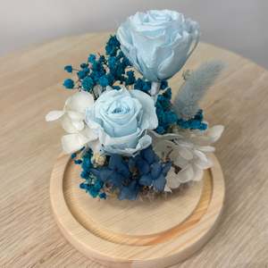 Dome: Glass Dome  - Sky Blue roses