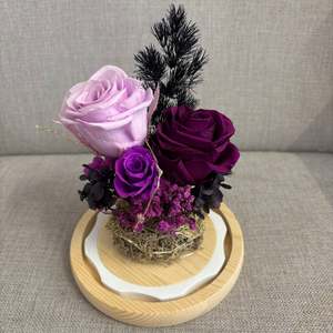 Purple Passion Dome