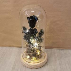 Dome: Onyx Dome