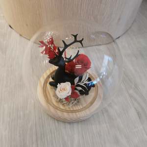 Dome: Noir Reindeer Dome - Large