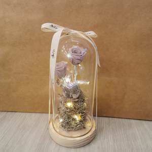 Dome: Lavender Quartz Tall Dome - With seed Lights