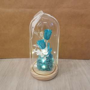 Dome: Teal Quartz Dome - With seed lights