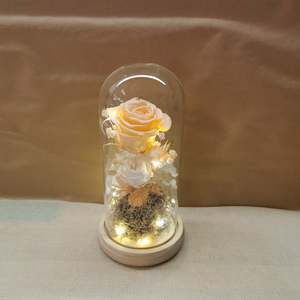 Dome: Princess Peach Tall Dome - with seed lights