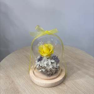 Dome: Glass Flower Dome- Bella in Yellow