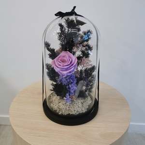 Dome: Violet Quartz Dome XL