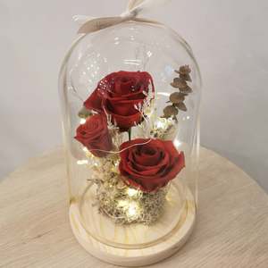 Dome: Red Romance - Flower Dome