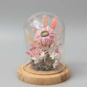 Dome: Blush Rice flower - Baby Dome