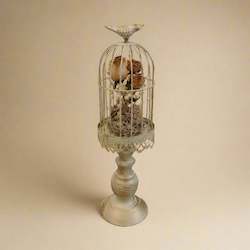 Shop All Flowers: Rose Aviary - Dried Arrangement