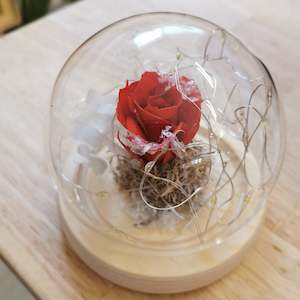 dome: Limited Edition Red Snow Dome