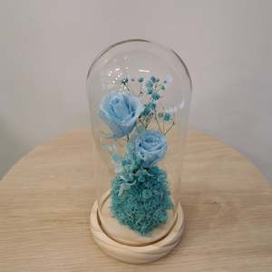 Sky Blue Tall Dome - With seed Lights