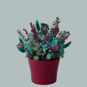 All Flowers: Teal & Cerise Dried Flower - Vase Arrangement