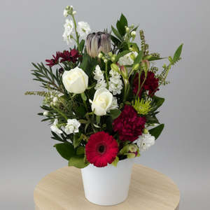 Gift: Florist Choice Posie in white Ceramic Pot
