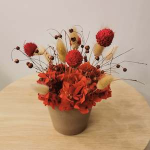 Dried Flower: Happy Red Pot