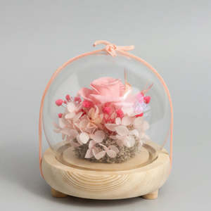 Gift: Pink Rose Glass Dome with Seed Lights