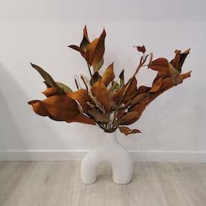 Dried Flower: Magnolia Swerve Arrangement