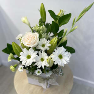 Gift: Posies Box Arrangement- White and Green