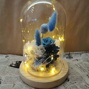 Gift For Him: Glass Domes- Blue