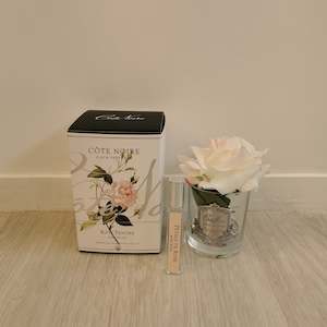 Côte Noire Perfumed Natural Touch Single Rose - Clear - Pink Blush - GMR02