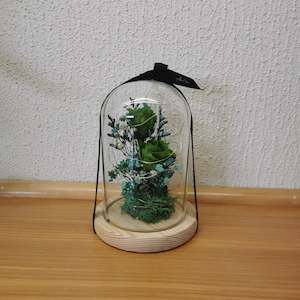 Gift For Him: Green with Envy Flower Dome with seed lights.