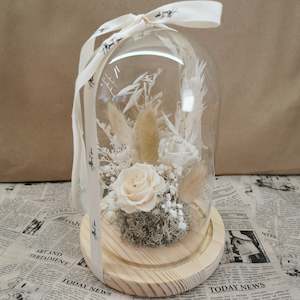 Giftboxes: Glass Domes- Creamy