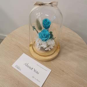 Giftboxes: Teal Forever Dome