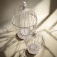 Bird Cage Home Decor