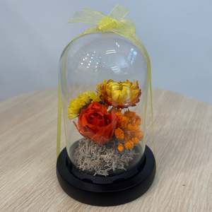 Baby Citrus Dried Flowers - Glass Dome